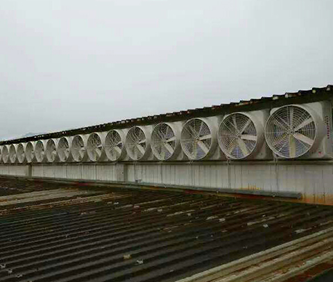 玻璃钢风机气楼安装实例