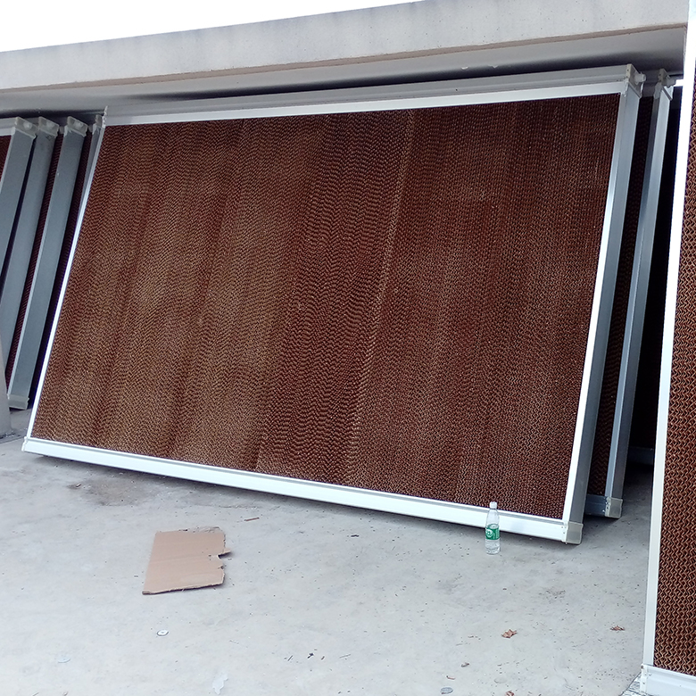 1561339013439298.jpg 1561339013439298.jpg